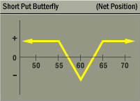 Short Put Butterfly Strategy Net Position Graph