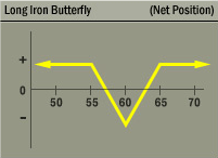 Long Iron Butterfly Strategy Net Position Graph